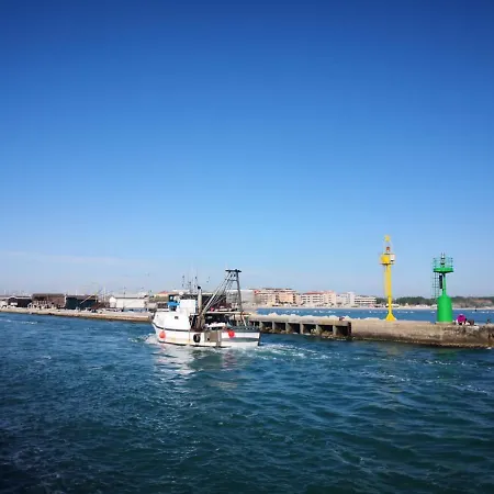 Hotel Hotel Primula B&B Cesenatico 2*